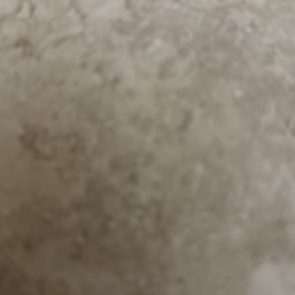 Meet your Posher, Dodi - Picture 1 of 1